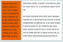 Thursday | Serious Serif Halloween Font Product Image 6