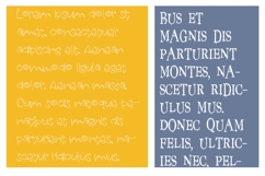 Toil and Trouble Font Duo Product Image 4
