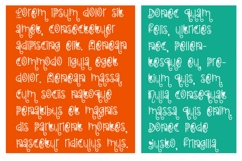 Tropical Zoop Font Family Product Image 5