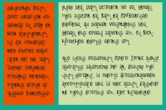 Tropical Zoop Font Family Product Image 2