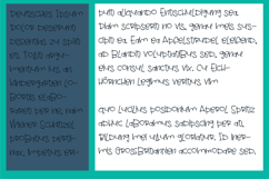 Troublemaker Font Family Product Image 4