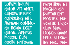 Turkey Jerk Font Family Product Image 5