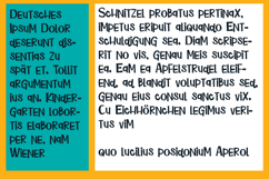 Turkey Jerk Font Family Product Image 2