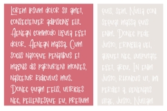 ZP Valentine Print Font Family Product Image 6