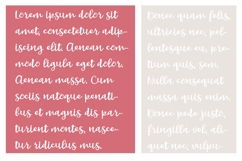 Whiplash Font Family Product Image 6