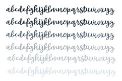 Whiplash Font Family Product Image 7