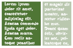 Wild Animals Font Family Product Image 3