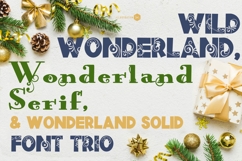 Wild Wonderland Font Duo Product Image 1