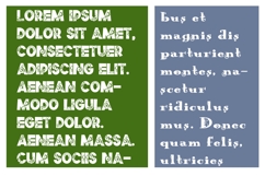 Wild Wonderland Font Duo Product Image 4