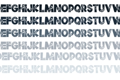 Wild Wonderland Font Duo Product Image 5