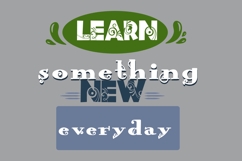 Wild Wonderland Font Duo Product Image 6