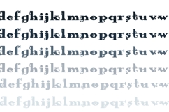 Wild Wonderland Font Duo Product Image 7