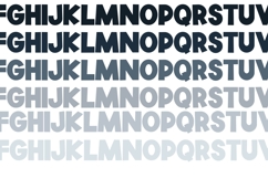 Wild Wonderland Font Duo Product Image 8