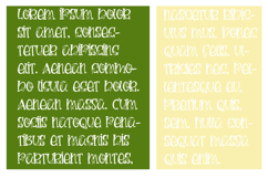 Zucchini Font Family Product Image 12