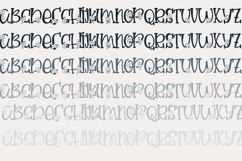 Zucchini Font Family Product Image 11