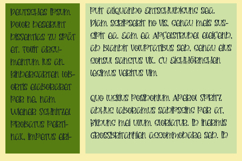 Zucchini Font Family Product Image 14