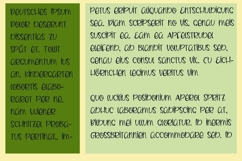 Zucchini Font Family Product Image 9
