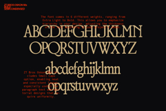 ZT Bros Oskon 90s - 72 Font Product Image 9