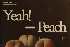 ZT Bros Oskon 90s - 72 Font Product Image 12
