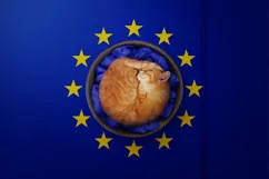 Backgrounds for Photography & Marketing. Europe Union Product Image 6