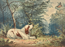 Celebrated Dogs of America Restored Images Bundle Product Image 3