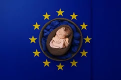 Backgrounds for Photography & Marketing. Europe Union Product Image 2