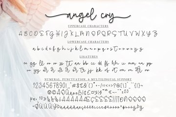 Angel Cry