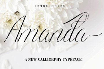 Amanda In Lettering