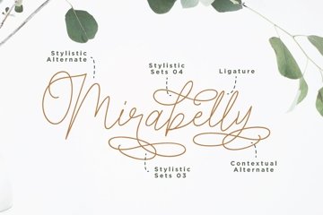 Claire Script