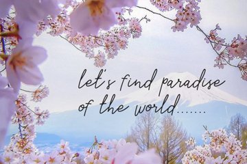 Sakura Font Set (7007)