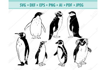 penguinページ 95ca7d7e4a7d51b8c699019a0e6693
