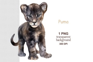 Black Puma PNG, Black Panther sublimation, Safari animals