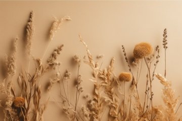Beige minimalist background with wild dry flowers. Generate