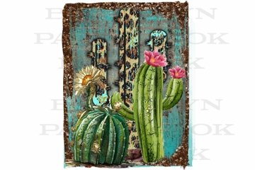 large cactus for sale Tall Euphorbia Cactus | Large Cactus main image 0