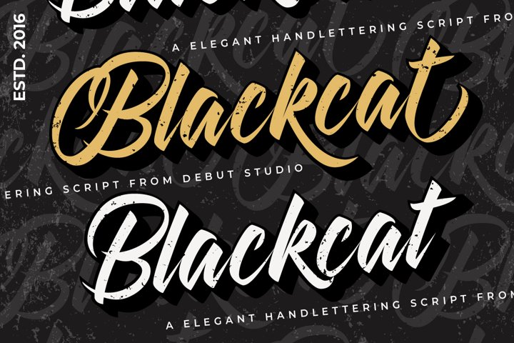 Blackcat // Layered Script