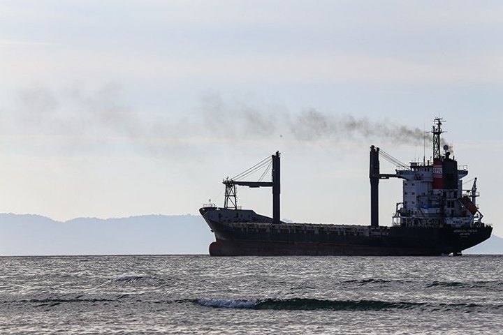 Cargo Ship ,Bulk Carrier,Oil Bulk Ore Ships at the sea (767221 ...