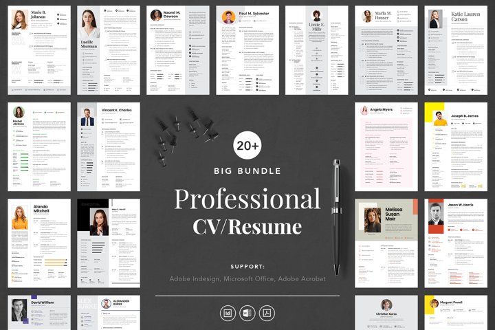 Big Bundle Professional CV/Resume Indesign Template