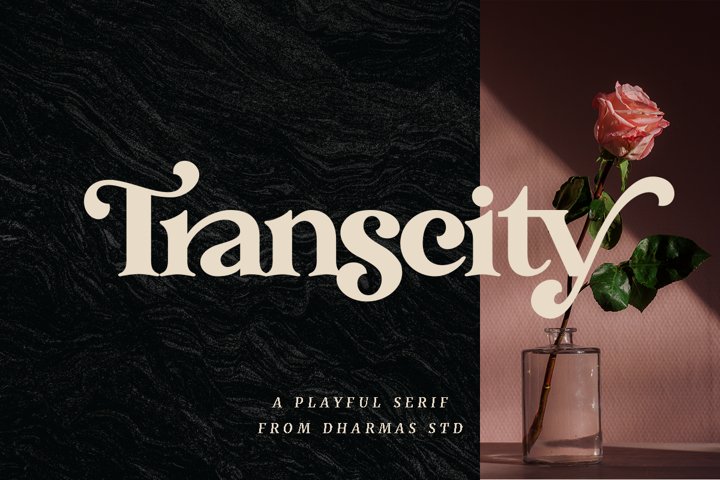 Transcity - A Playful Serif