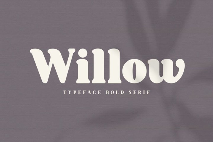 Willow. Typeface Bold Serif