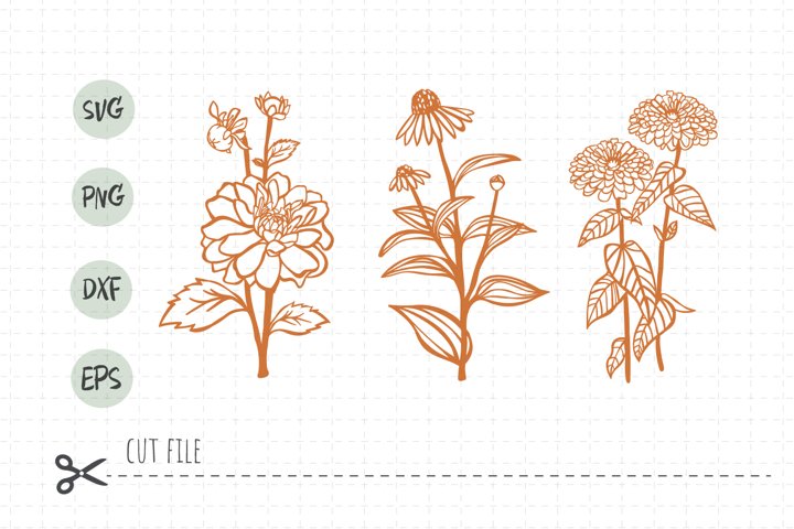 Garden flower SVG cut file / Botanical SVG PNG clipart / Flo (751097