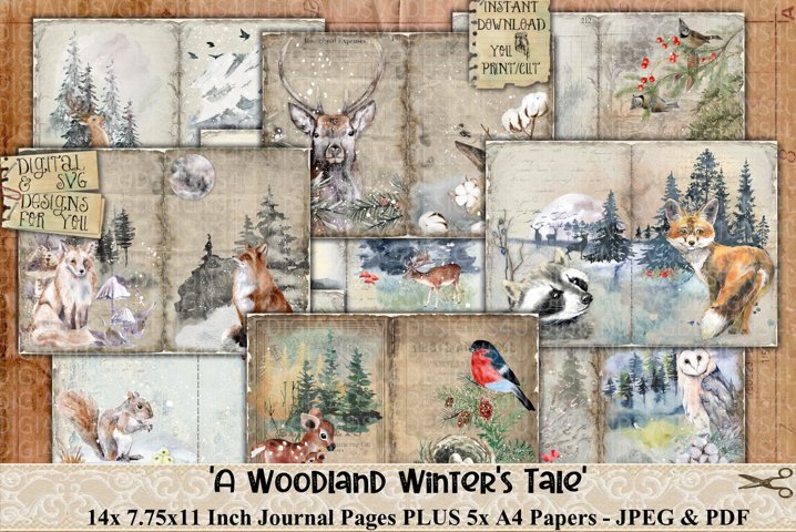 Woodland forest animals pictures image