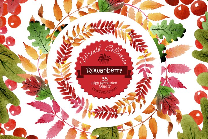 Wreath collection PNG watercolor set (60375) | Illustrations | Design