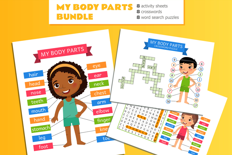 My Body Parts BUNDLE Kids Flashcards Game
