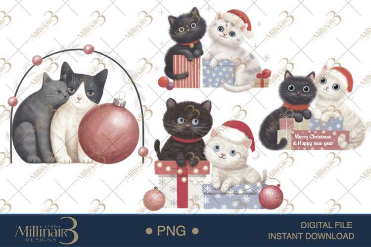 Cat Png Image 2