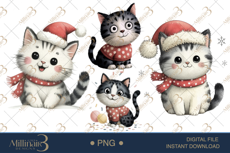 Cat Png Image 16
