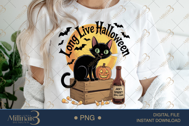 Black Cat Png Image 7