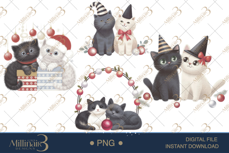 Cat Png
