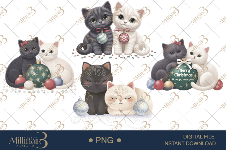 Cat Png Image 24