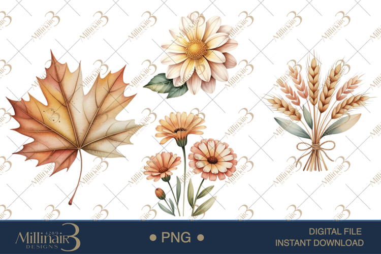 Pumpkin PNG Image 10