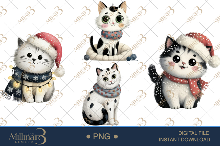 Cat Png Image 13
